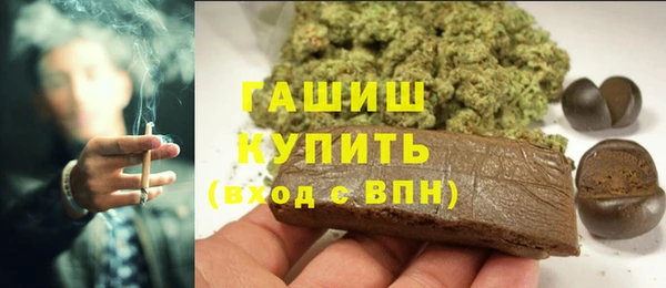 ПСИЛОЦИБИНОВЫЕ ГРИБЫ Дмитриев