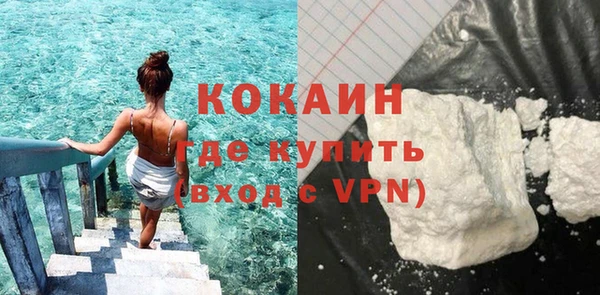индика Дмитров
