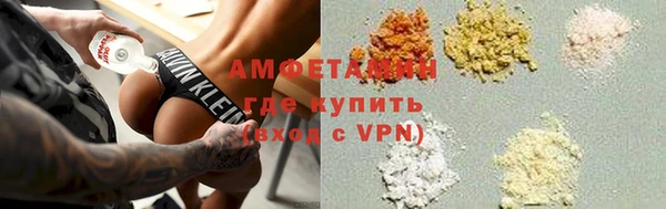 ПСИЛОЦИБИНОВЫЕ ГРИБЫ Дмитриев