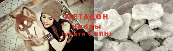 индика Дмитров