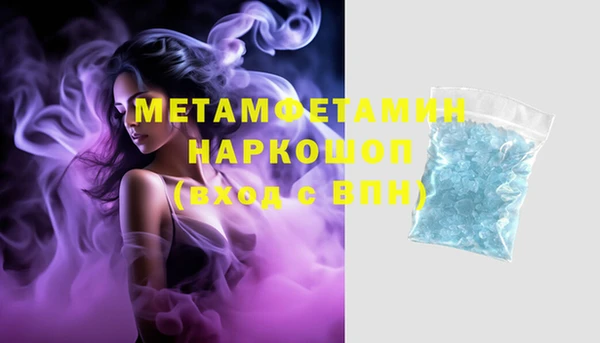 ПСИЛОЦИБИНОВЫЕ ГРИБЫ Дмитриев