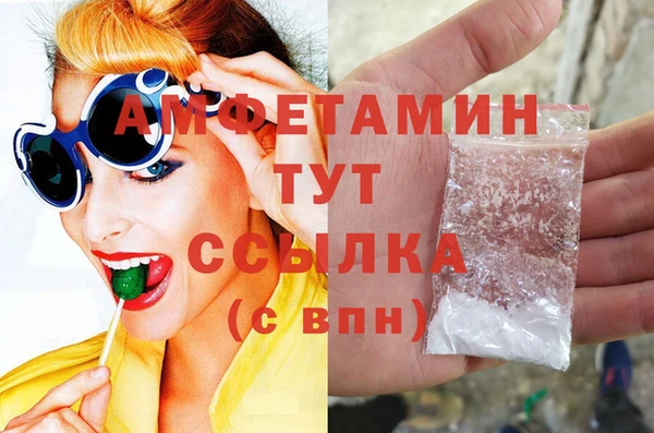 ПСИЛОЦИБИНОВЫЕ ГРИБЫ Дмитриев