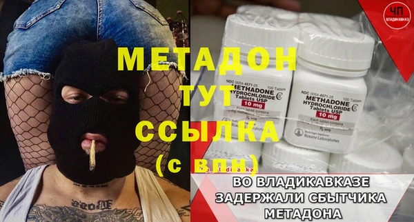 индика Дмитров