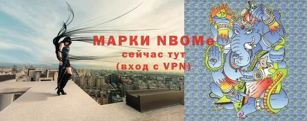 индика Дмитров