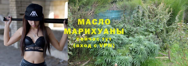 индика Дмитров