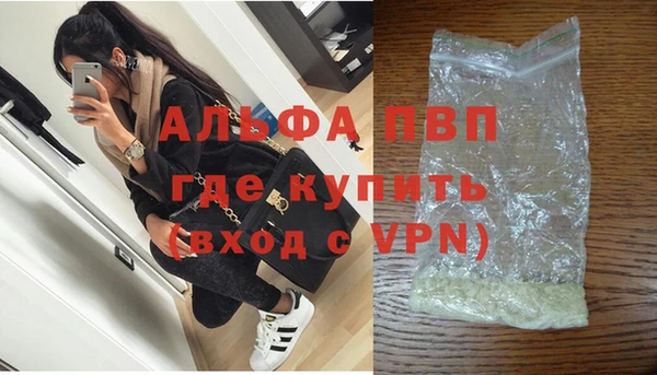 индика Дмитров