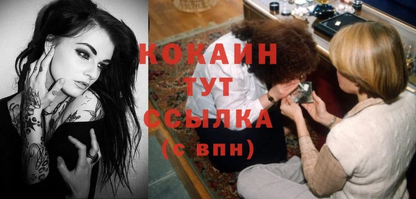индика Дмитров