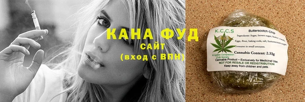 индика Дмитров