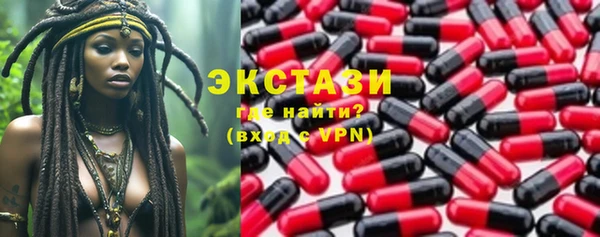 индика Дмитров