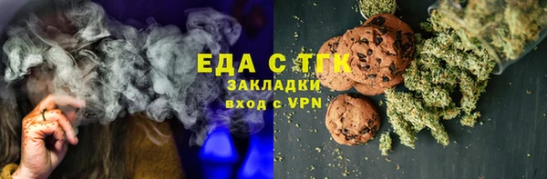 индика Дмитров