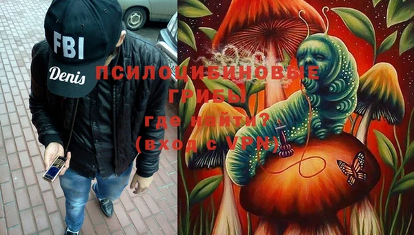 индика Дмитров