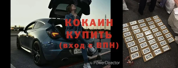 индика Дмитров