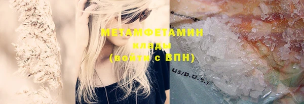 ПСИЛОЦИБИНОВЫЕ ГРИБЫ Дмитриев