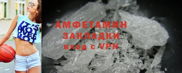 индика Дмитров