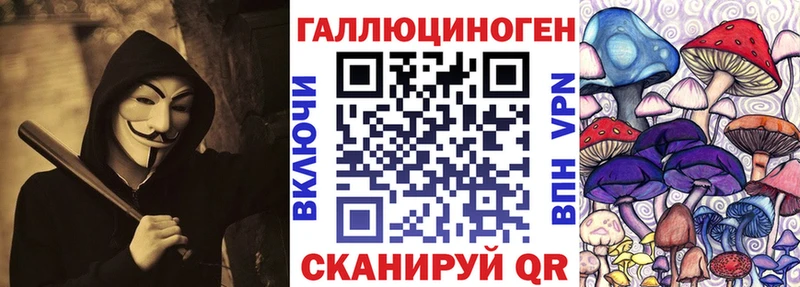 дарнет шоп  Балашиха  Галлюциногенные грибы Psilocybine cubensis 